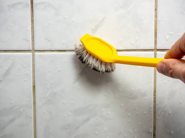 Best Professional Mold Removal  in Huntsville, AR