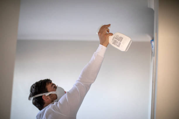 Best Black Mold Removal  in Huntsville, AR
