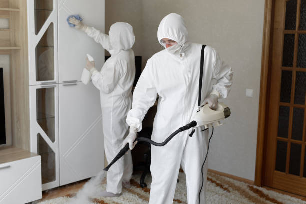 Attic Mold Removal in Huntsville, AR