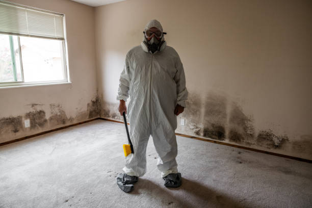 Best Mold Testing  in Huntsville, AR